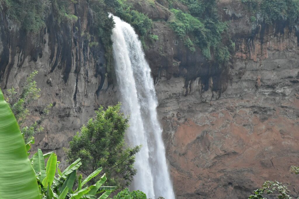 10 Days Uganda Waterfalls & Gorillas